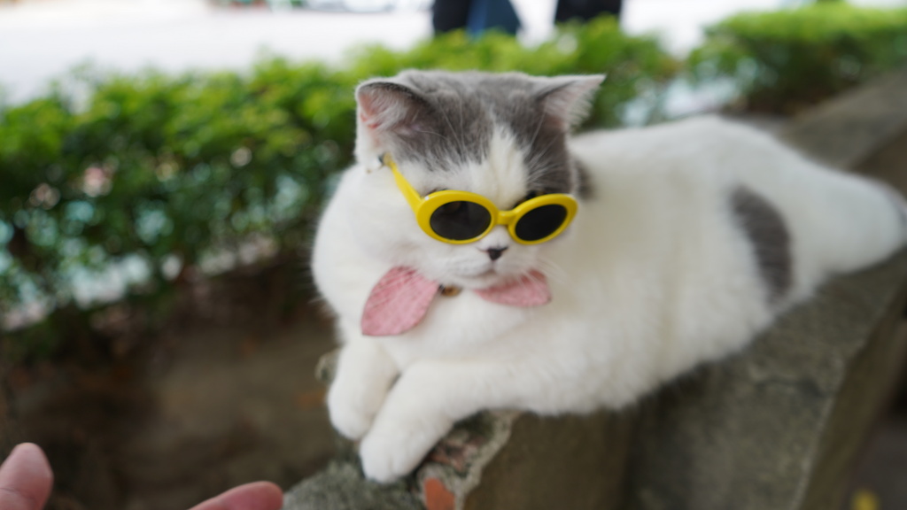 js slider